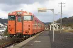 20120203_hane1.jpg