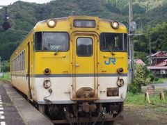 2110905_DC40.jpg