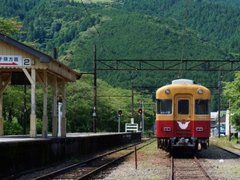 DSC05876.JPG