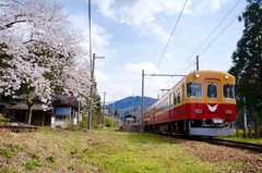 DSC09277.jpg