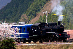_DSC7377.jpg